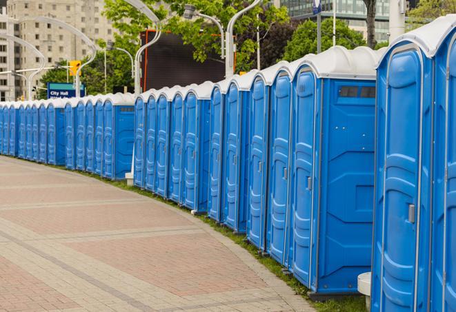 Seasonal porta potty units set up at a Bellingham, Wisconsin venue